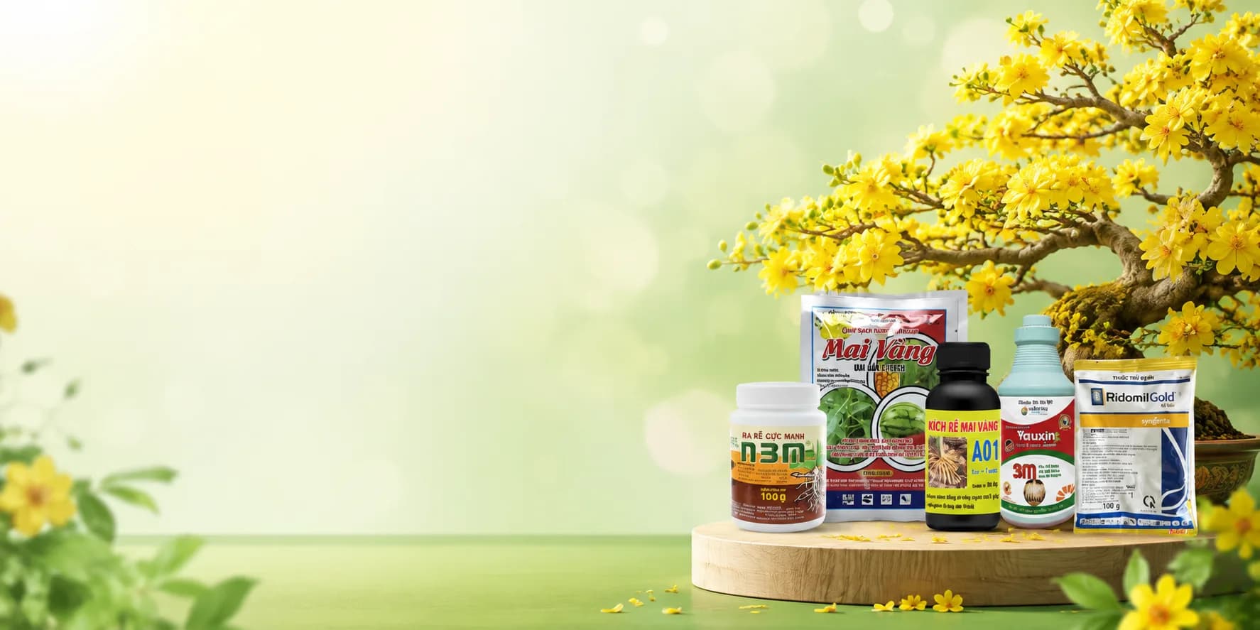 Sản phẩm hỗ trợ chăm sóc mai vàng