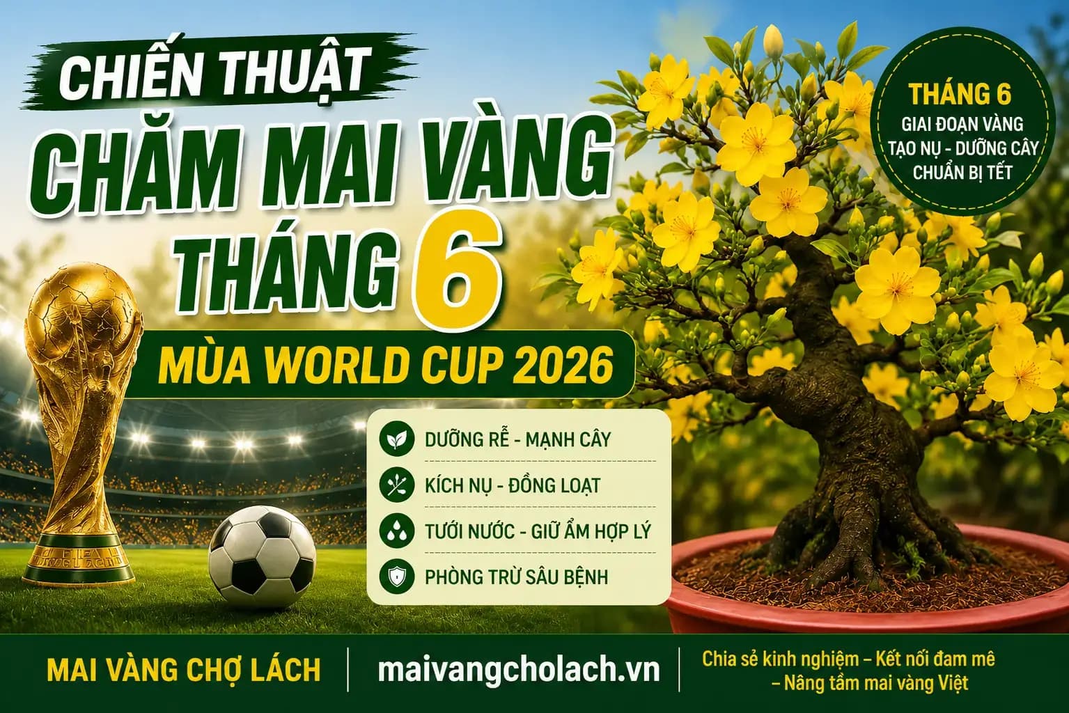 Chiến Thuật Chăm Mai Vàng Tháng 6 Mùa World Cup 2026